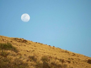 daytime full moon