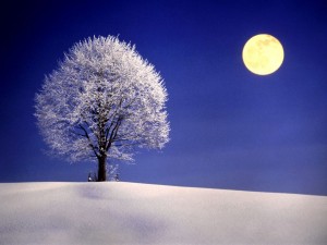 winter_night_wallpaper_wl55